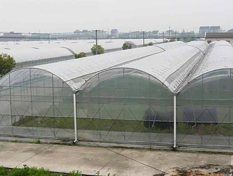 温室大棚1 (8) 拷贝.jpg